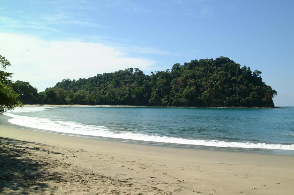 Hotel Coco Beach Manuel Antonio Exterior photo